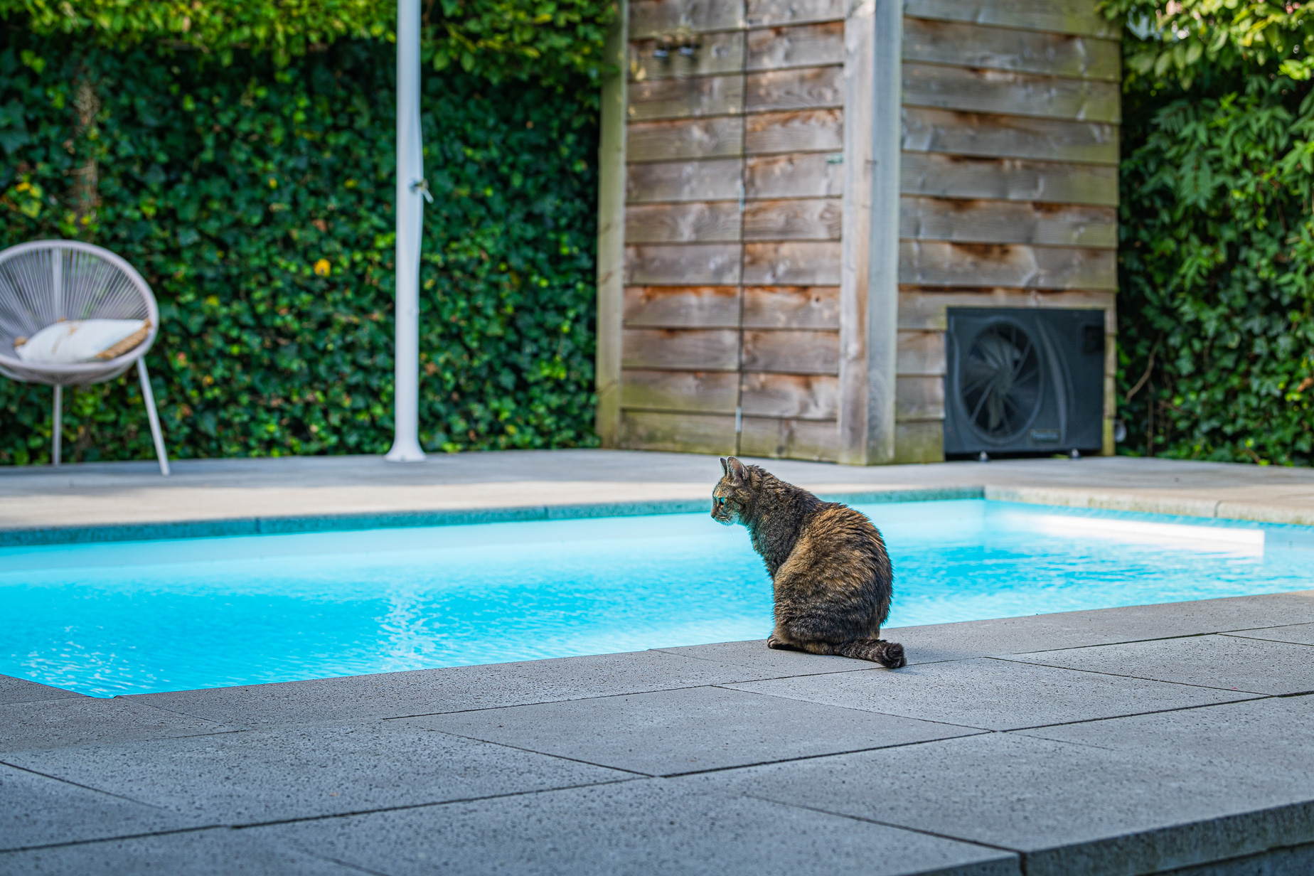 Bluefino Patio Tuinen – Dronten